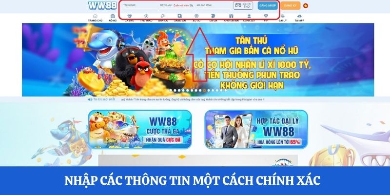 Nhập các thông tin