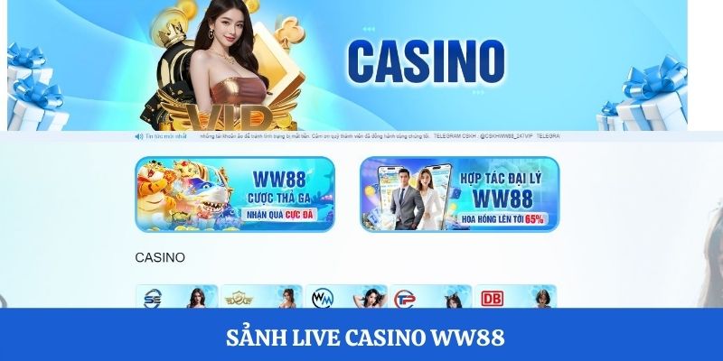 Sảnh live casino